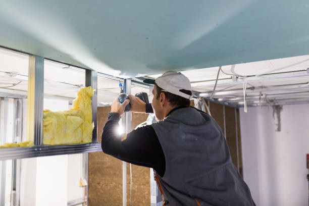 Best Eco-Friendly or Green Insulation Solutions  in Salyersville, KY